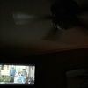 robinmiddleton5
